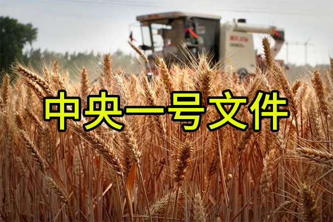 《轉(zhuǎn)發(fā)》老趙說(shuō)農(nóng)資：解讀2024中央一號(hào)文件，肥料生產(chǎn)企業(yè)這樣干